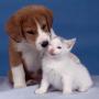 pacientes1
