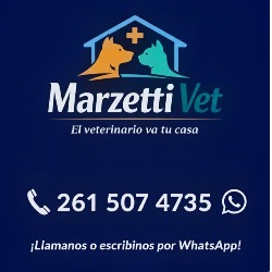 Veterinaria a domicilio Marzetti