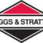 MOTORES BRIGGS STRATTON