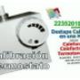 service mar del plata
