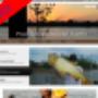 Desarrollo web Recomendado