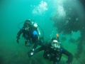 Diving Tour