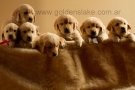 Goldens Lake