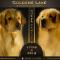 EJEMPLARES-GOLDENS-LAKE