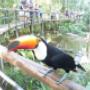 Parque das Aves
