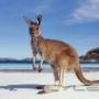 Subido por visitante en 7/11/2015 - Viajes a Australia