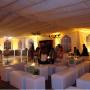 interior de carpa