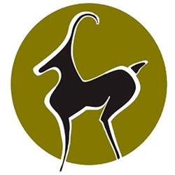 Cueros Antilope
