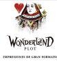 Wonderland Plot