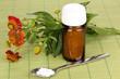 Homeopatía en Villa María