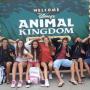 ANIMAL KINDOM