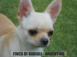 Finca Di Badiali