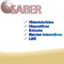 Ebook