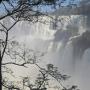 IGUAZU