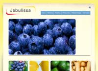 Jabulissa SRL