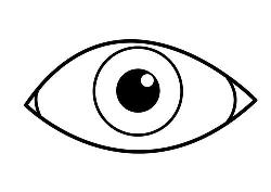 Oftalmólogo Oculista