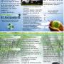 Triptico