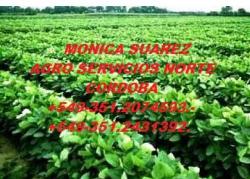 Agro servicios norte