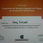 cursos
