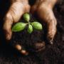 productos que cuidan la ecologia