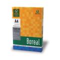 Resma Boreal A4x75grs x 50u