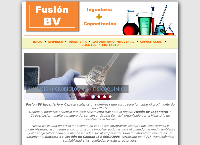 Sitio web de Fusión BV Ingeniería + Capacitación