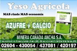 MINERA CAÑADA ANCHA S.A.