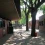 El Club hipico argentino