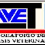 Subido por visitante en 23/9/2015