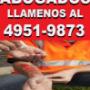 ACCIDENTES DE TRABAJO,ABOGADOS LABORALES