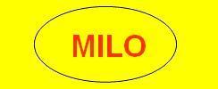 Casa Milo Ropa de Trabajo Guantes Botines