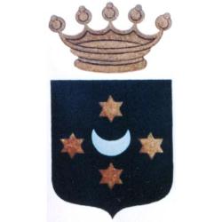 TACCA Servicios Profesionales