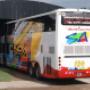 GRAFICA VEHICULAR