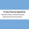 Te-Arg-técnica-Argentina-