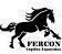 FERCON Cepillos Especiales