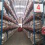 Autoelevador Flexy