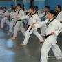 Taekwondo Paternal