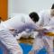 Taekwondo-Paternal