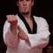 Taekwondo-Paternal