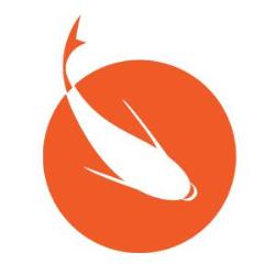 Estudio Koi
