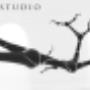 Asymmetry Studio 3d
