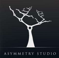 Asymmetry Studio