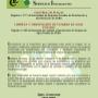 Carta De Presentacion