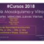Cronograma Clases 2018