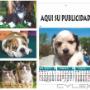 Subido por visitante en 14/4/2016