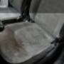 Subido por visitante en 19/4/2016