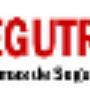 SEGUTRONICS