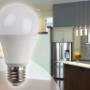 Bulbos Led