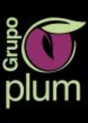 Grupo Plum
