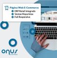 PAGINA WEB ECOMMERCE B2B y B2C